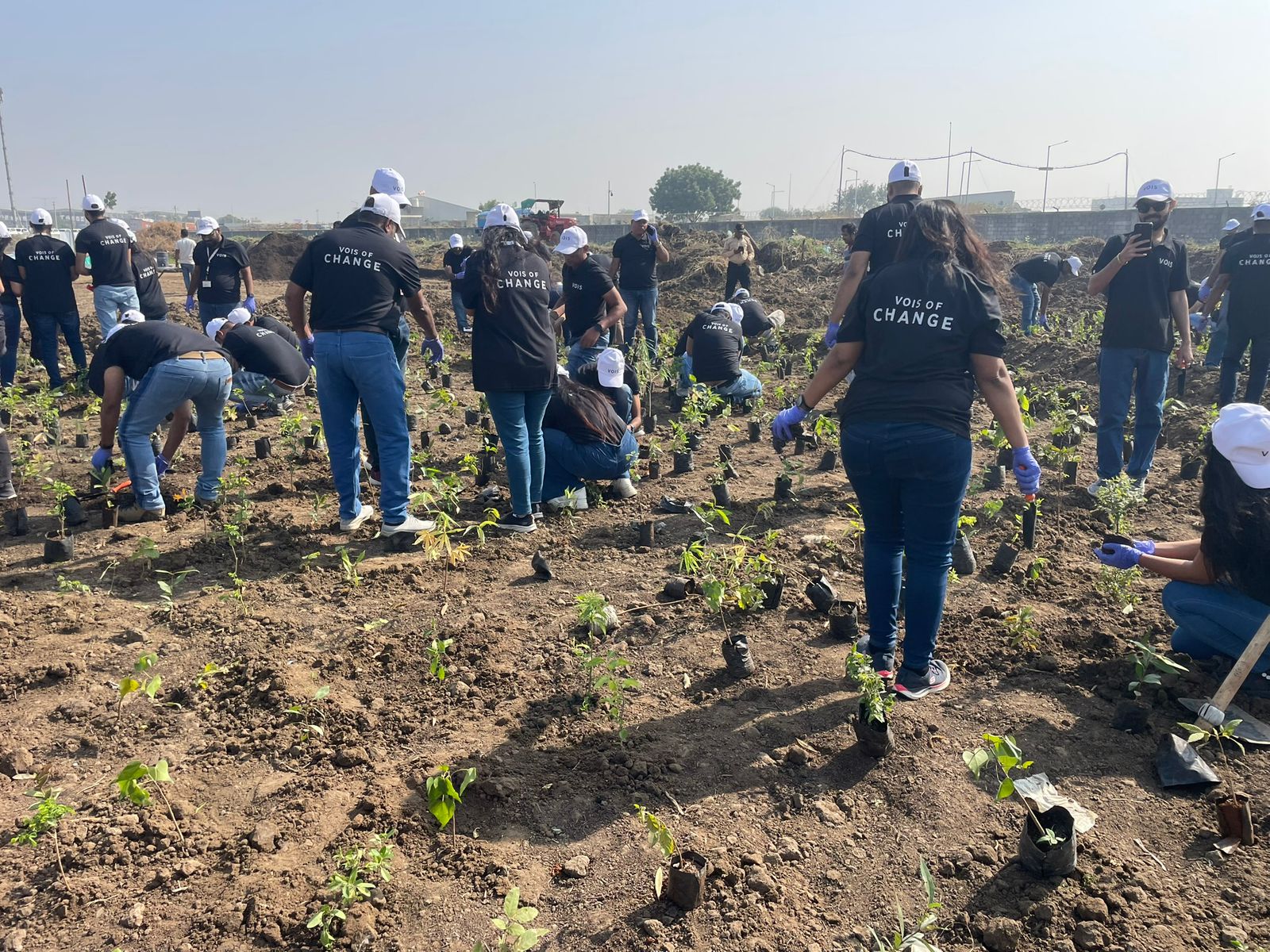 Plantation in Ahmedabad - Chharodi (Dec 2025)