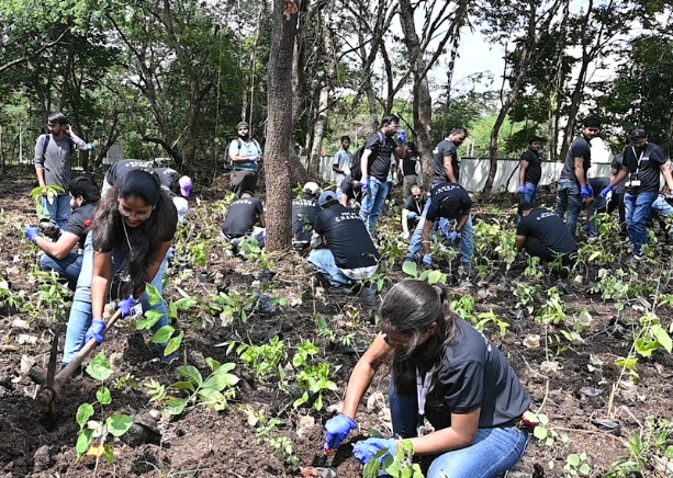 Plantation at CWRPS (Central Power Research Station)