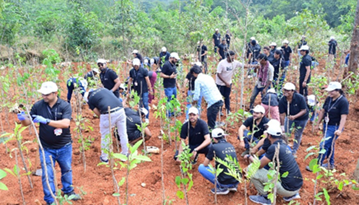 Plantation at Byatarayana (Dec 2024)