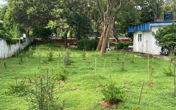 Plantation at Chimney Hills