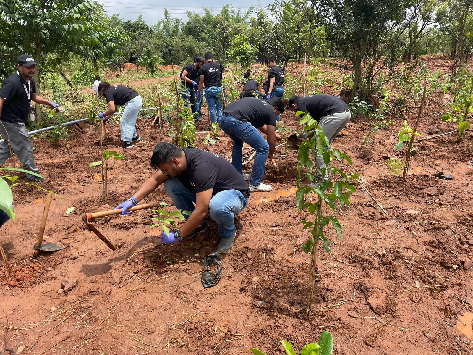 Plantation at Byatarayana (Sep 2025)