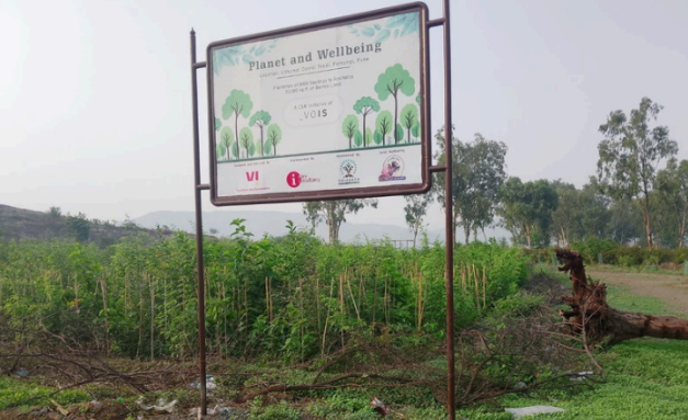 Plantation at Vithumai Devrai Tekdi (Dec 2023)