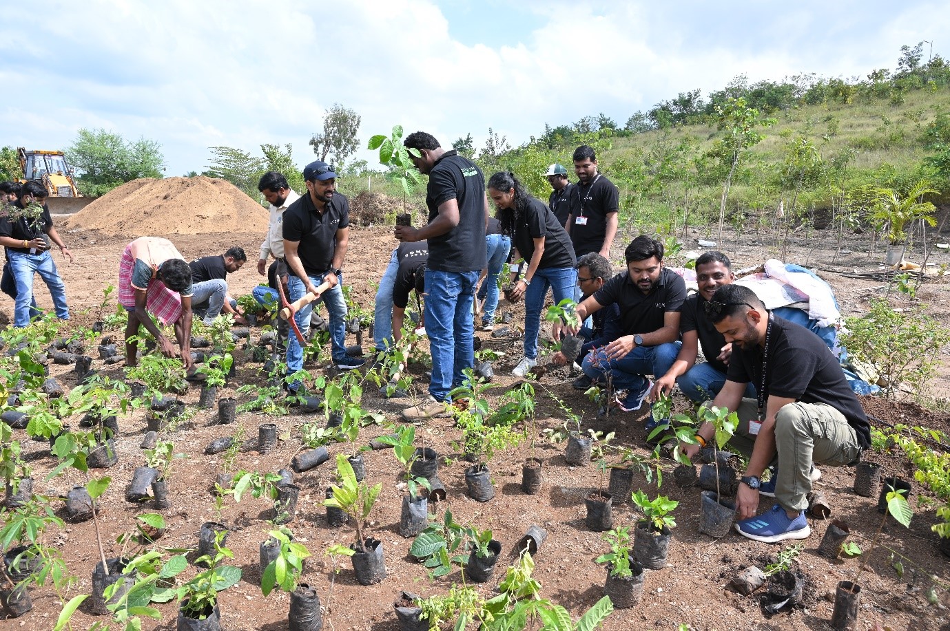 Plantation at Vithumai Devrai Tekdi (Oct 2024)